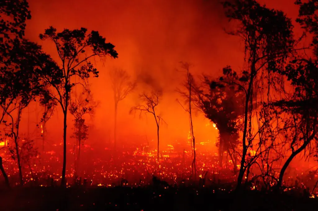 incendio-1-1024x680.jpg