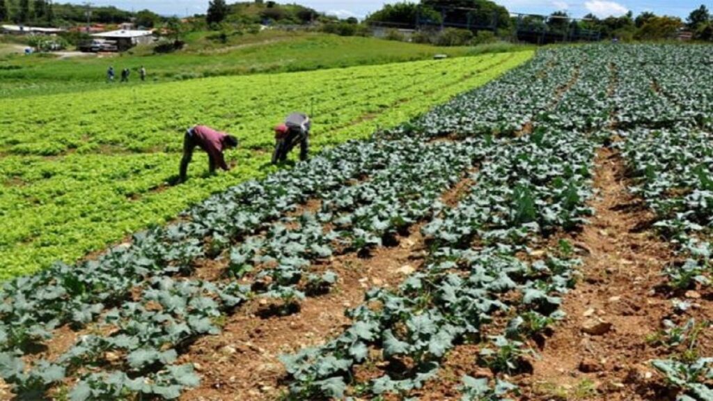 Venezuela fortalece su desarrollo económico: potencia petróleo, soberanía alimentaria y más créditos 3 pdvsa 2