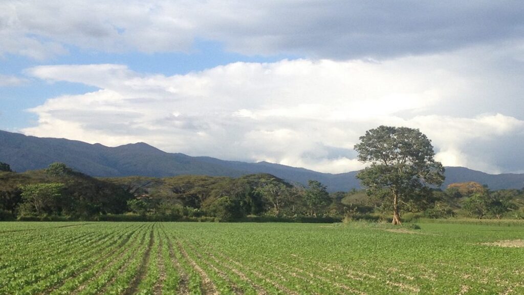 Venezuela fortalece su desarrollo económico: potencia petróleo, soberanía alimentaria y más créditos 4 pdvsa 3