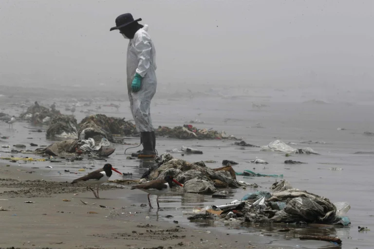 Perú encabeza la lista de playas más contaminadas del Pacífico latinoamericano 1 344e5ccfeb9aae23eea55ec1dbc3f0821fe05354w