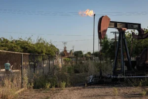 La OPEP confirma aumento sostenido de la demanda energética global hasta 2050 20 8022546114001w