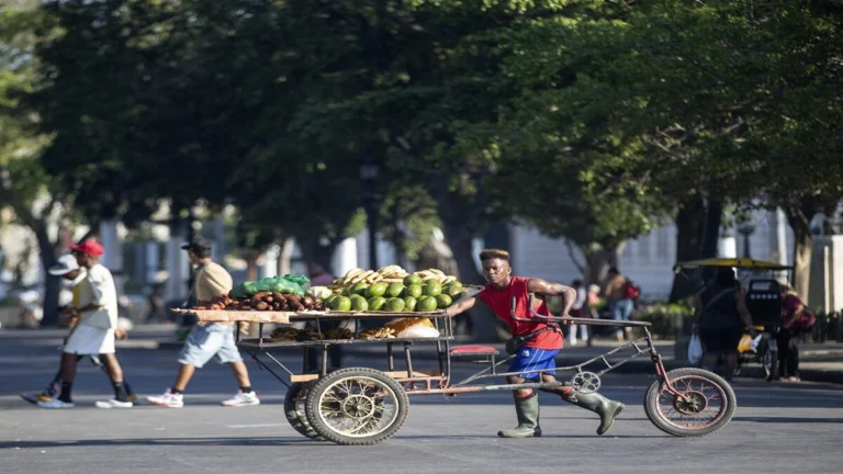 Asamblea Nacional: tendencias negativas que afectan la economía en Cuba 1 alimentosss
