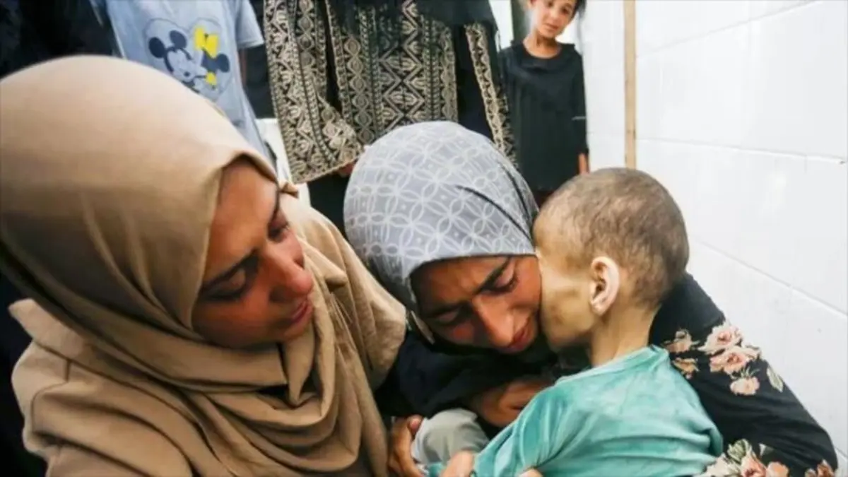 bebes gaza.jpg