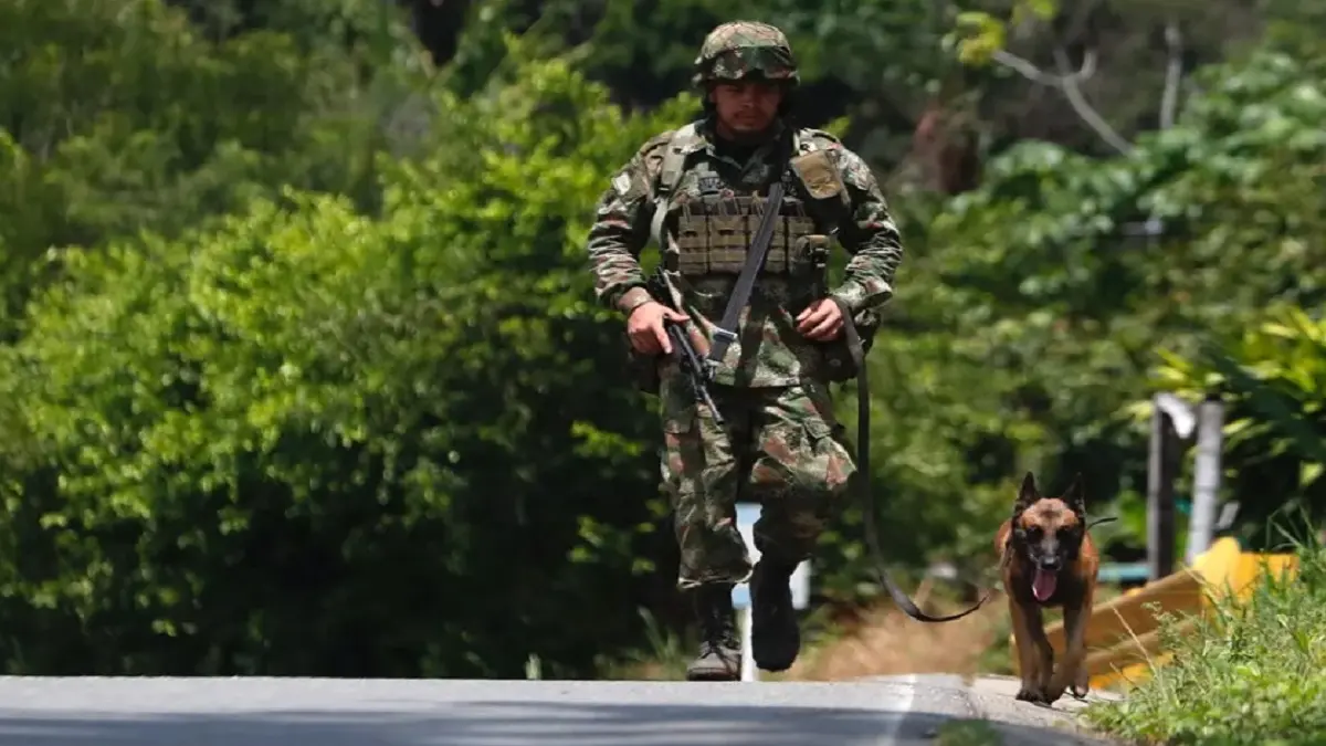 colombia patrulla ejercito cauca foto efe.jpg