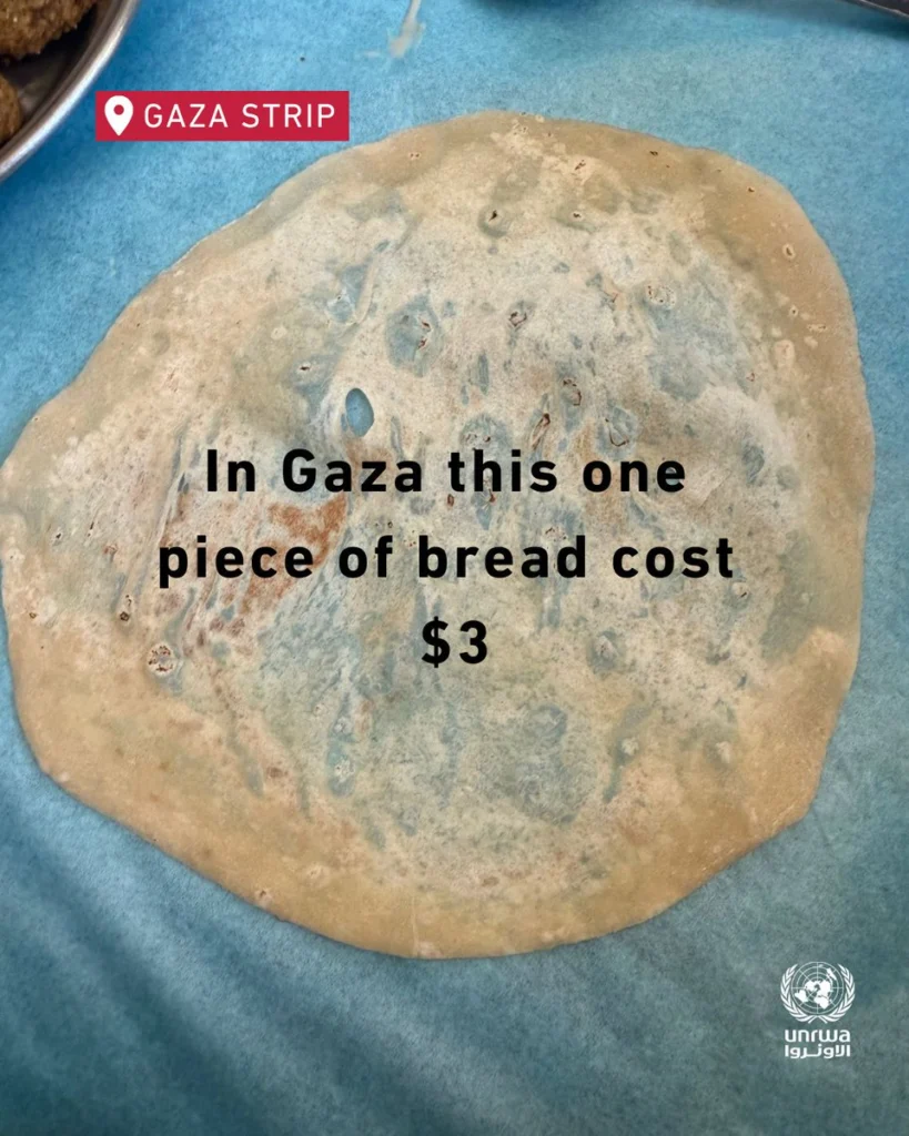 Hambruna en Gaza: "alimentos" que quitan la vida o el Holocausto del siglo XXI 5 gaza 2 1