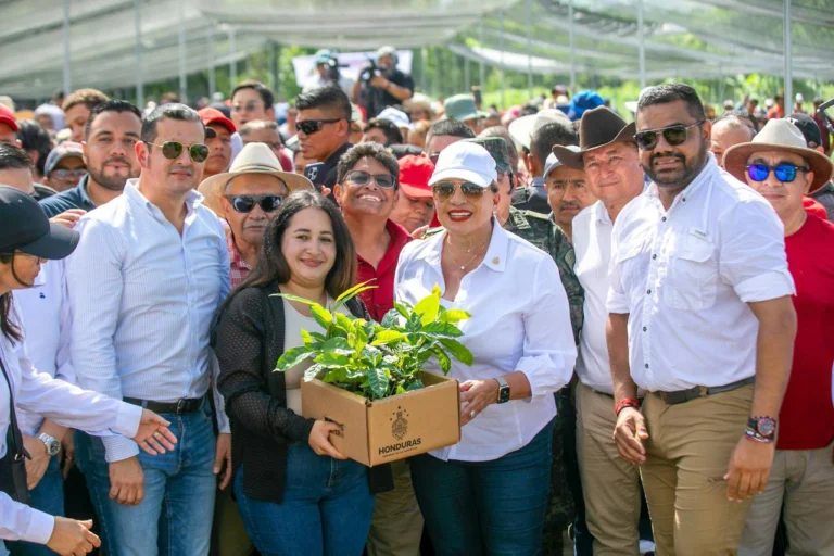 Honduras inaugura mega proyecto “Agrobosque” con miras a impulsar la caficultura sostenible 1 gwbuduwxiaakmo5