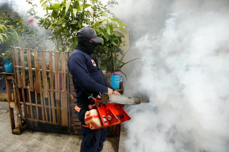 Fiebre de Oropouche se expande en Brasil: reportan 11.805 casos en lo que va de año 1 image 31 4