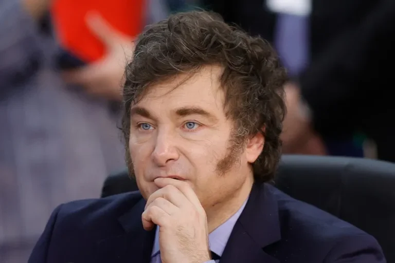 Desaprobación al Gobierno de Milei aumenta frente a situación económica de Argentina, según encuesta 1 milei