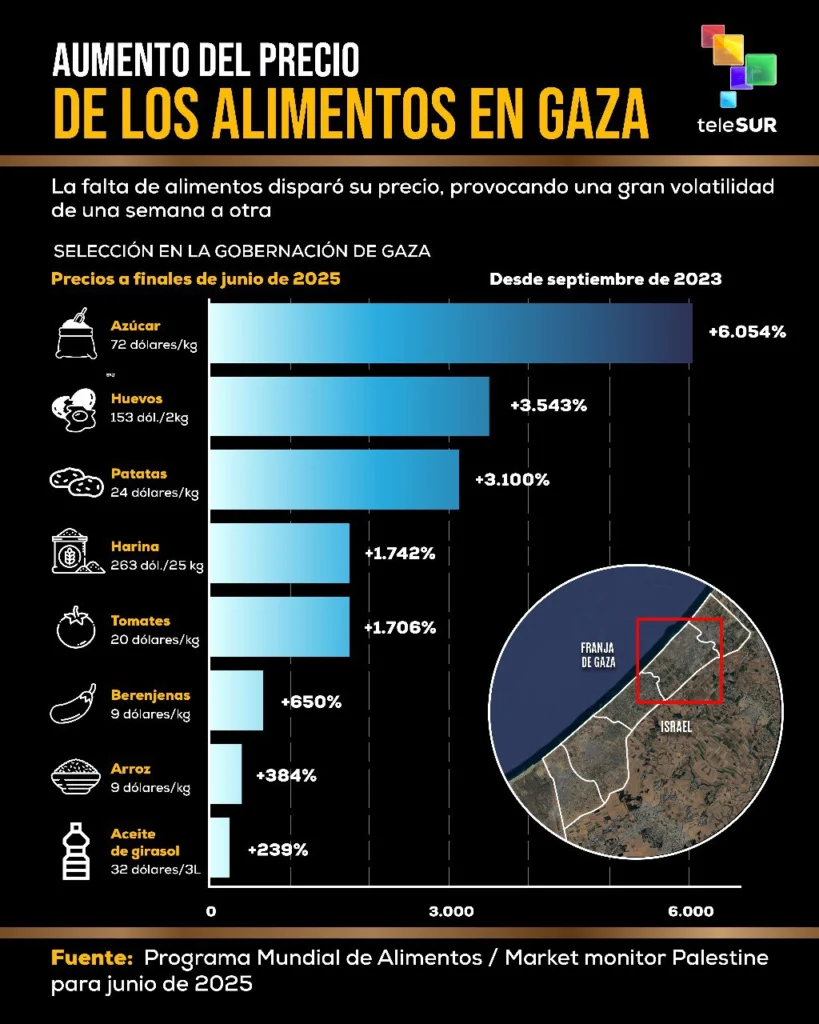 Hambruna en Gaza: Ya no hay energía, no hay resistencia física, no hay comida 3 photo 2025 07 23 14 59 44 1