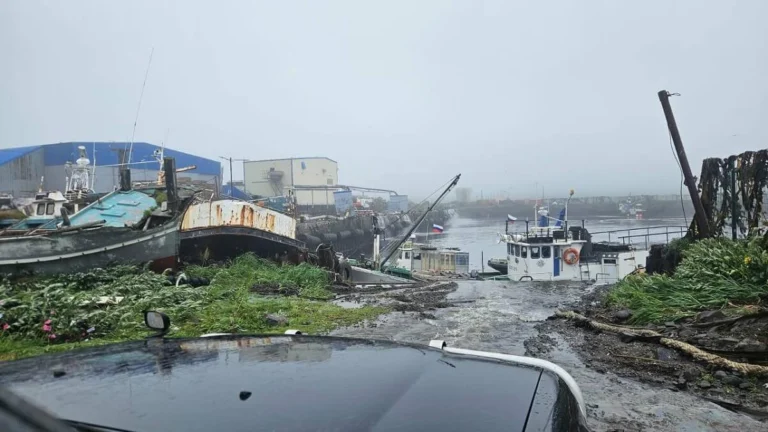 Tsunami golpea las islas Kuriles de Rusia 1 rusia tsunami