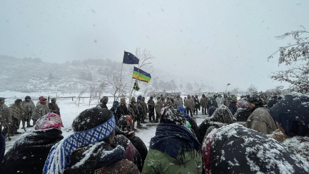 Más de 20 comunidades mapuches movilizadas contra tala de araucarias: "Es un atentado espiritual" 2 Más de 20 comunidades Mapuche movilizadas contra tala de araucarias: "Es un atentado espiritual"