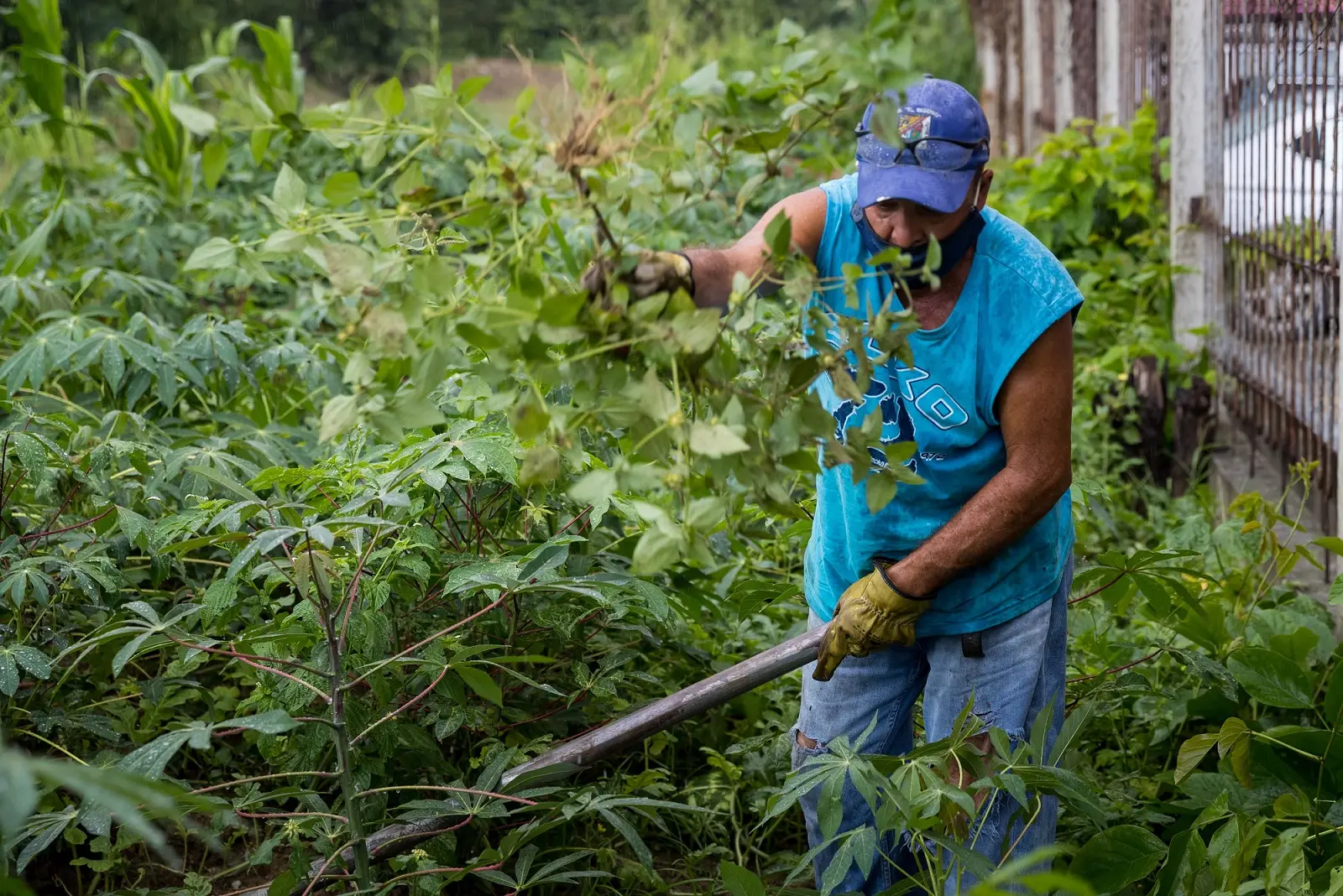 ame2287 venezuela crisis.jpg