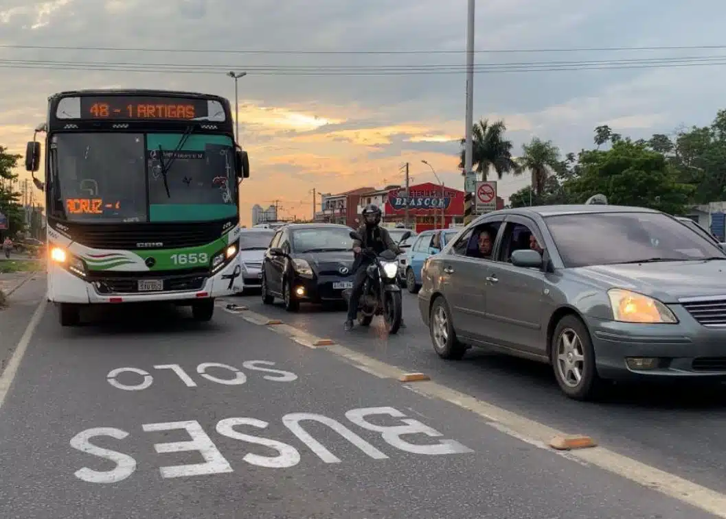 buses jpg