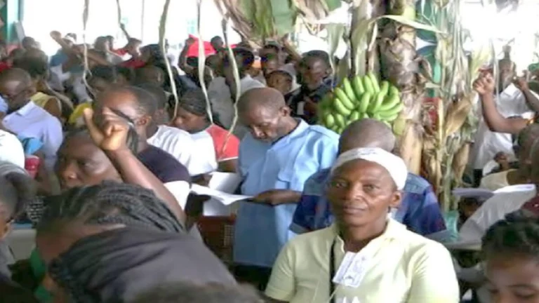 Haití: Juventud se moviliza por la soberanía alimentaria en el Campamento del MPP 1 haiti