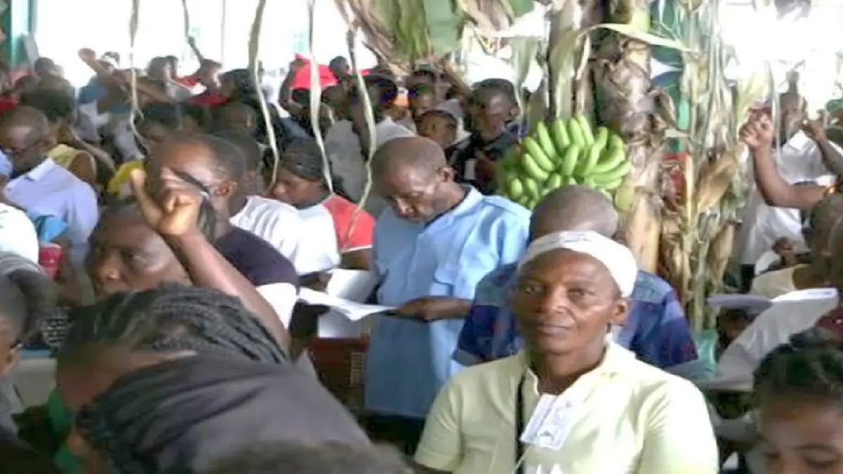 haiti.jpg