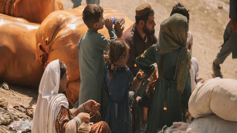 image1170x530cropped 5