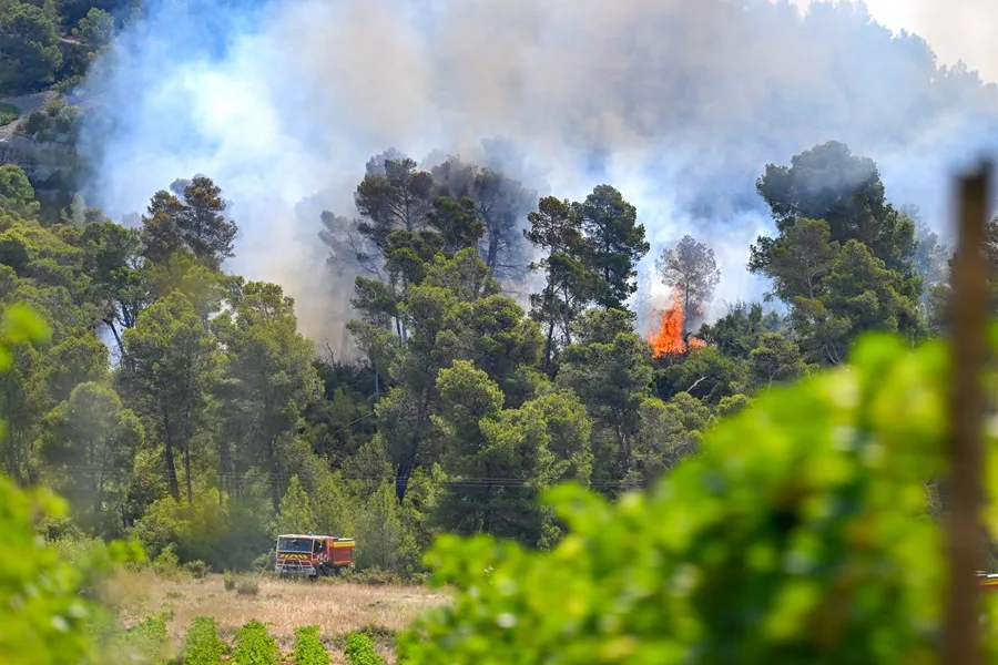 incendio sur francia 1