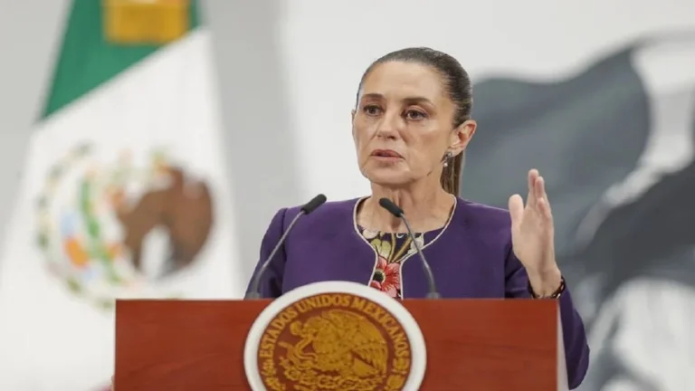 México anuncia la creación de una Comisión Presidencial para una reforma electoral 1 mexico presidenta