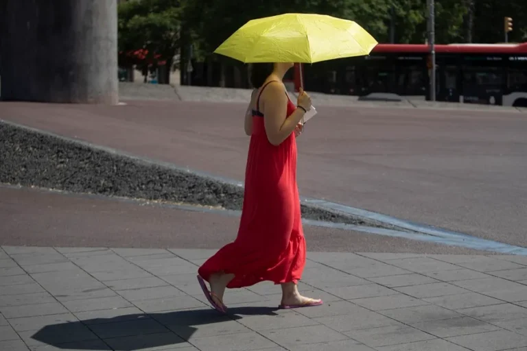 Europa: Países nórdicos sufren ola de calor sin precedentes 1 ola de calor