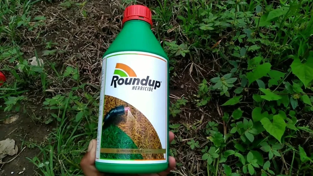 round up 1515015617