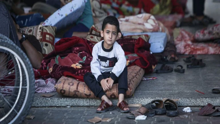 Muerte silenciosa: enfermedades infecciosas amenazan a los niños de Gaza 1 whatsapp image 2025 08 05 at 10 41 49