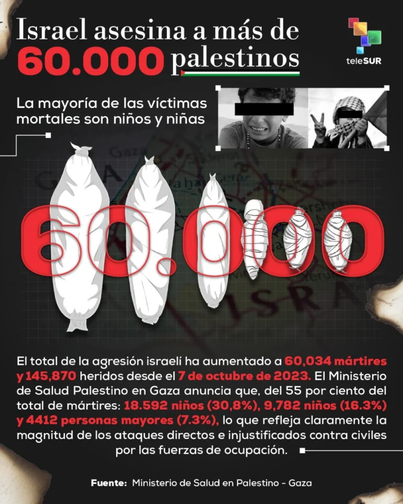 Immagine WhatsApp 2025 08 22 a 12 01 28