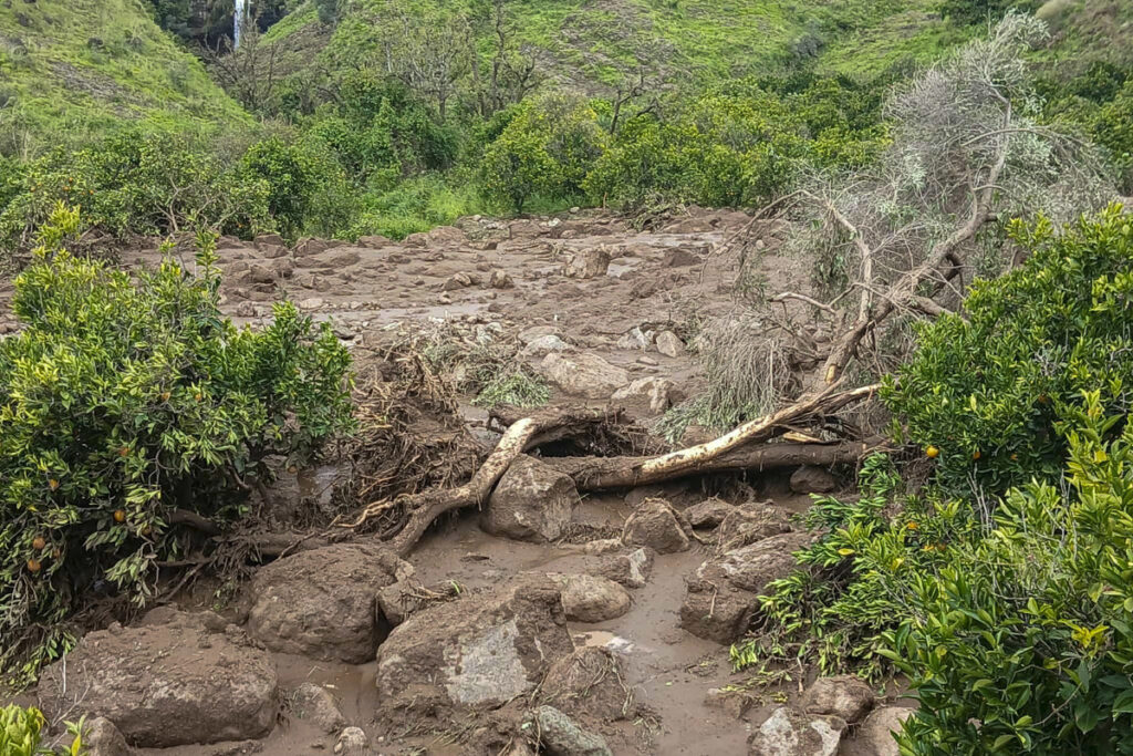 1b100589e6d0379961bd8773bab5bd15225cfdc1