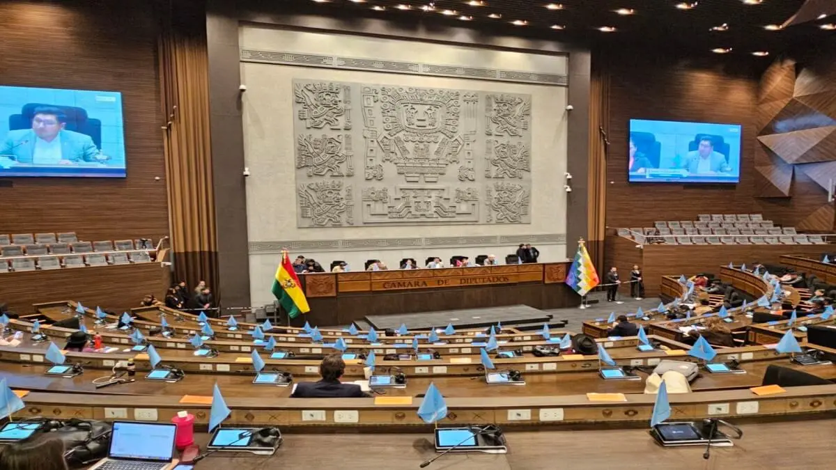 bolivia ley ninos.jpg