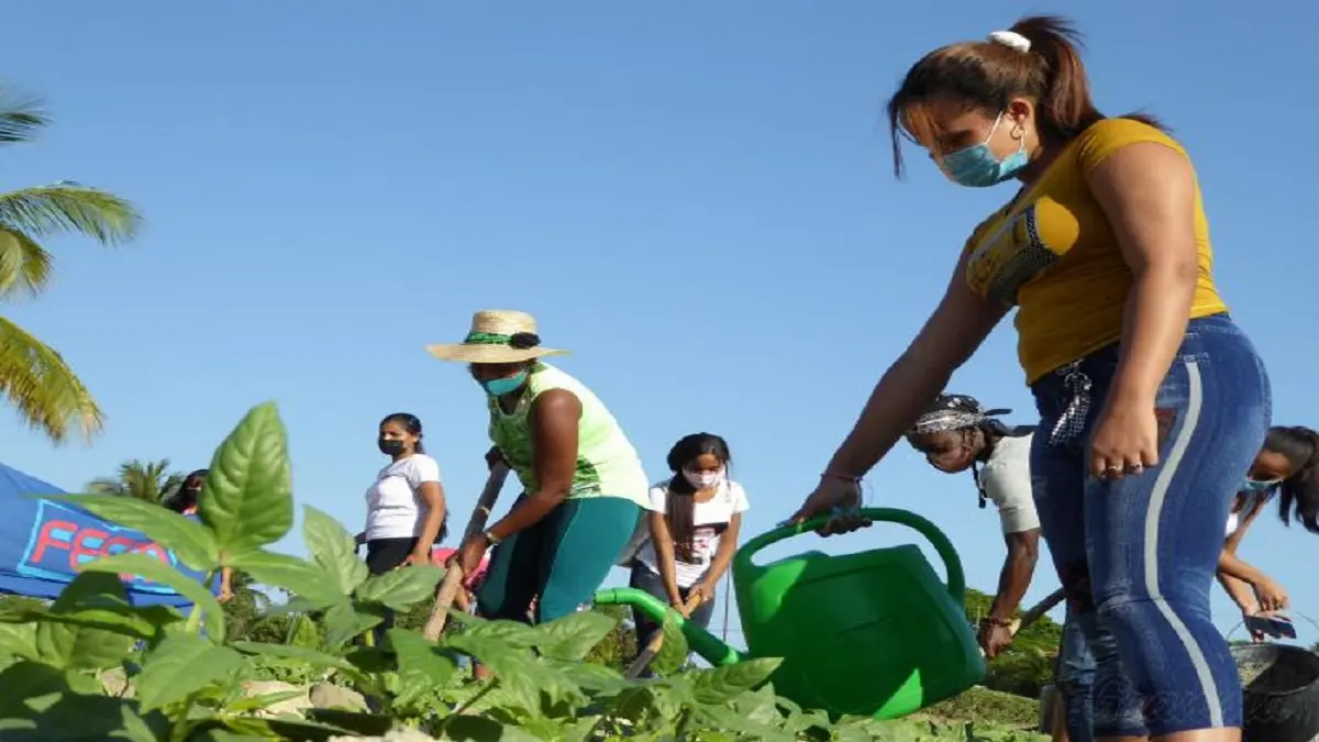 cuba soberania alimentaria foto granma.jpg