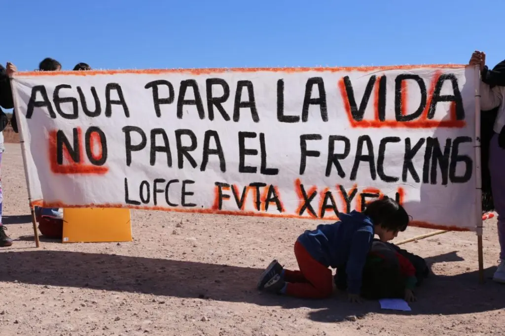 image 265 1024x682 1.jpg