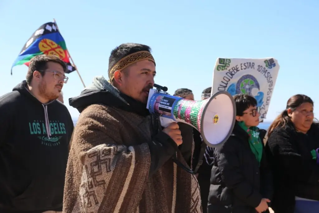 image 266 1024x682 1.jpg