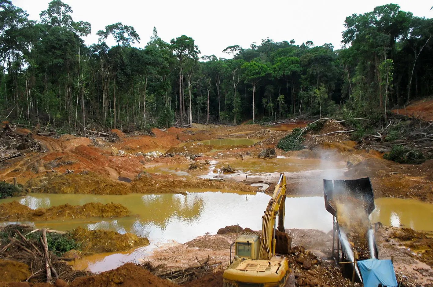 oro guyana.jpg