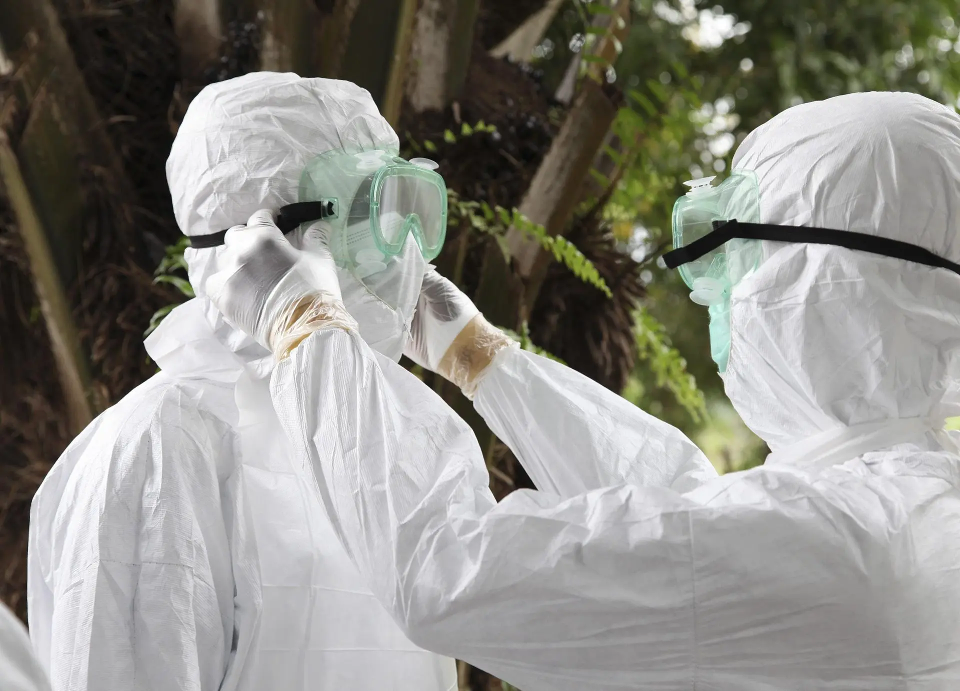 trazan como el ebola llega a la superficie de la piel ayudando a un potencial contagio