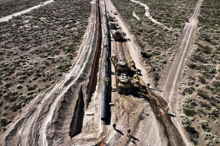 vaca muerta 02 1024x683 1