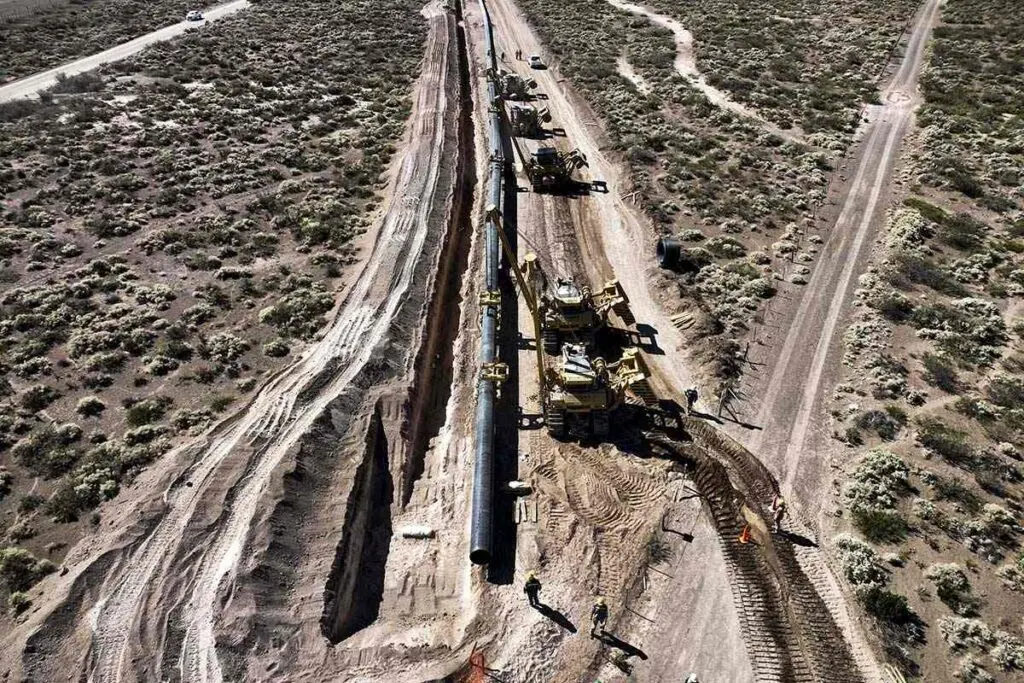 vaca muerta 02 1024x683 1.jpg