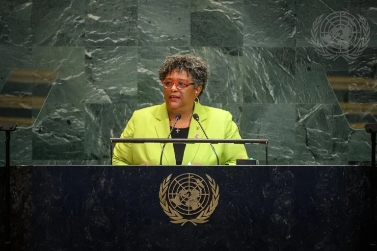 whatsapp image 2025 09 26 at 2 09 32 pm