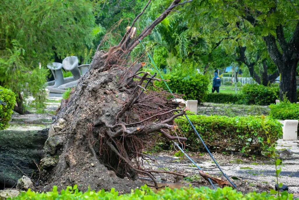 En Imágenes: Cuba tras el paso del huracán Melissa 5 1761769913267