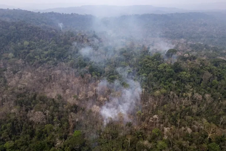deforestacion amazonas