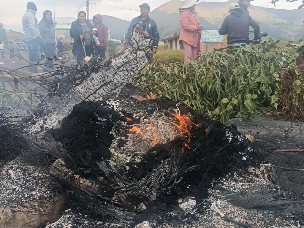ecuador 9