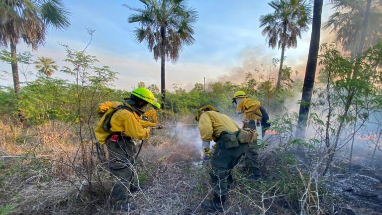 incendio 1
