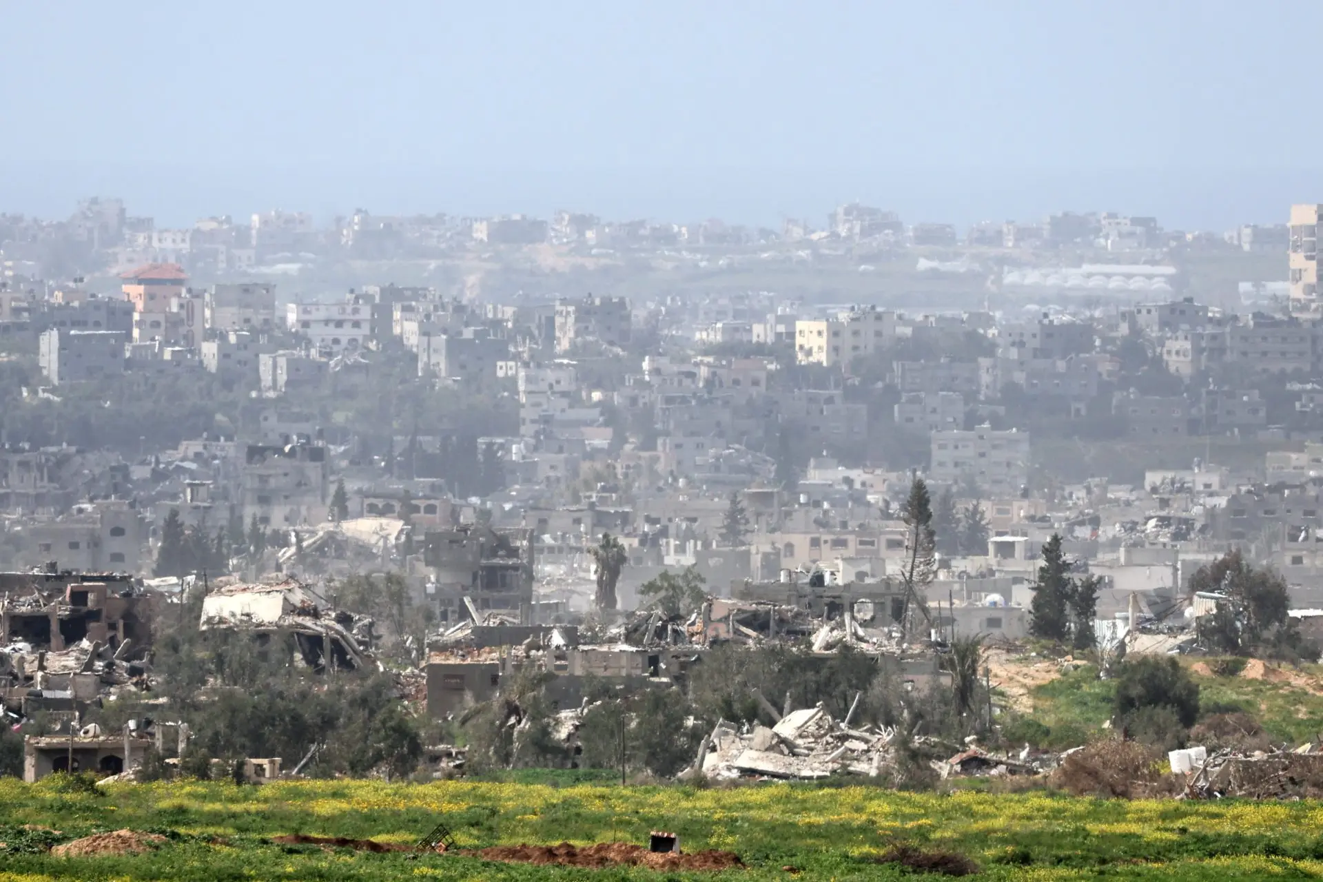 palestina 1.jpg