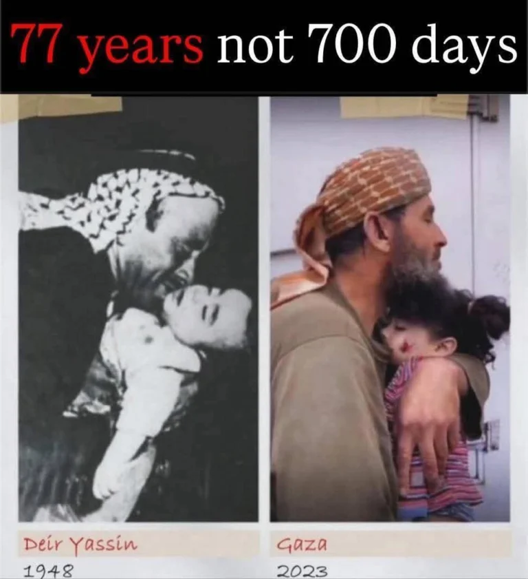 whatsapp image 2025 10 07 at 18 32 13