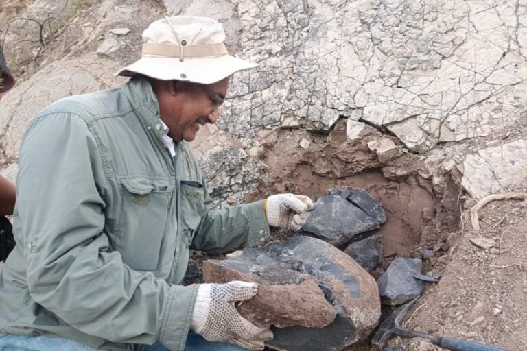 whatsapp image 2025 10 14 at 8 11 42 am 1