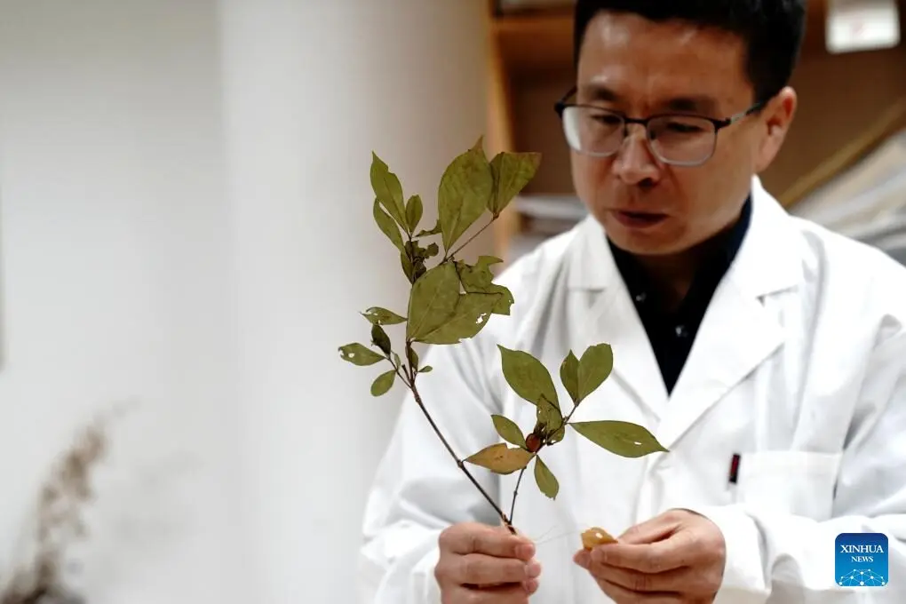 20251121d930bc8ef109465cabb56876ca230a10 2025112193a360fb0a7f4b889279953455d47a5e.jpg