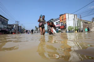 305b21a87839ec6a344b53d630e93c2bb4295098w