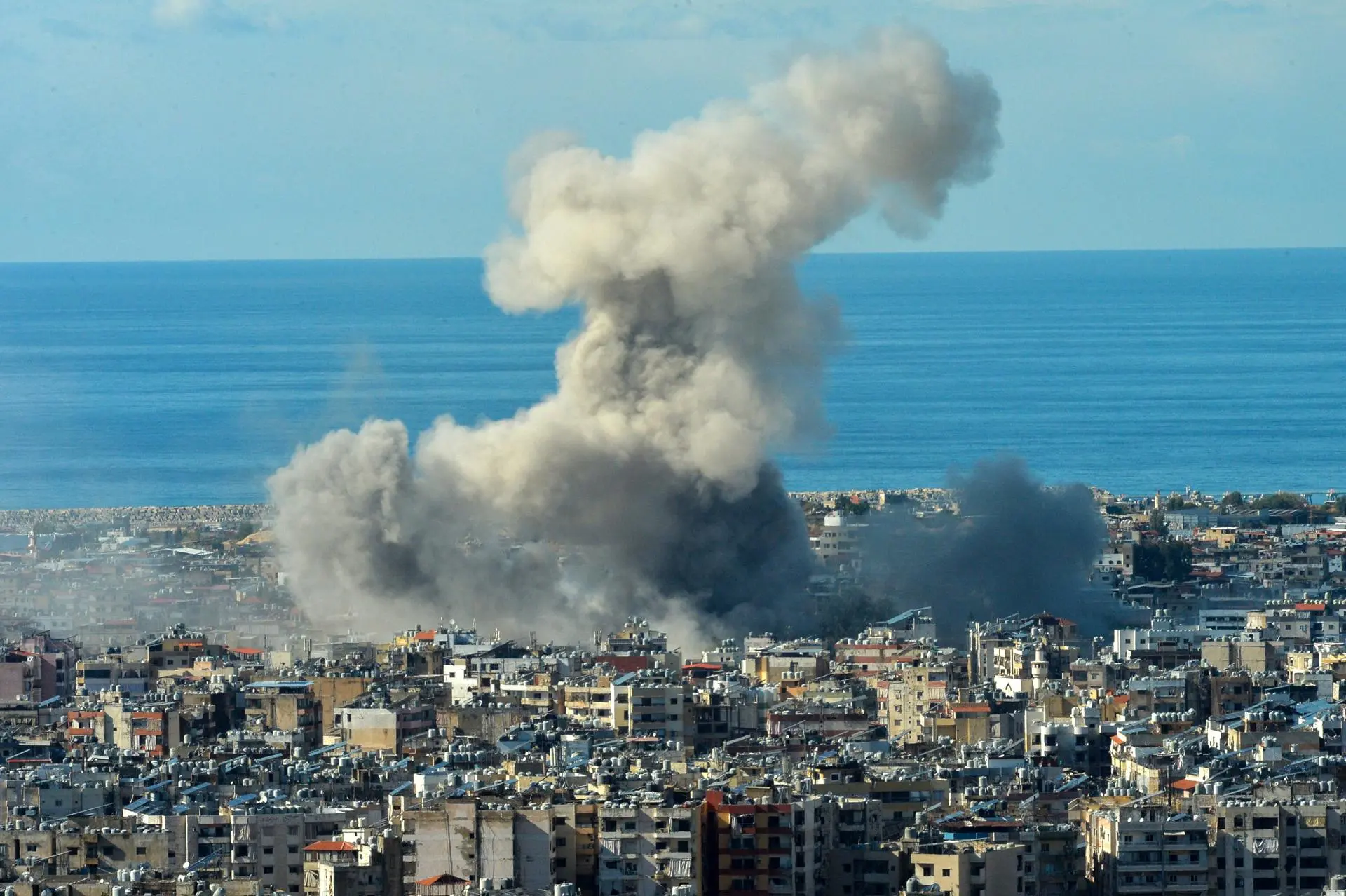 d8fa3837437bda1e07761251e7f3aea3257e9043w 1 9.jpg