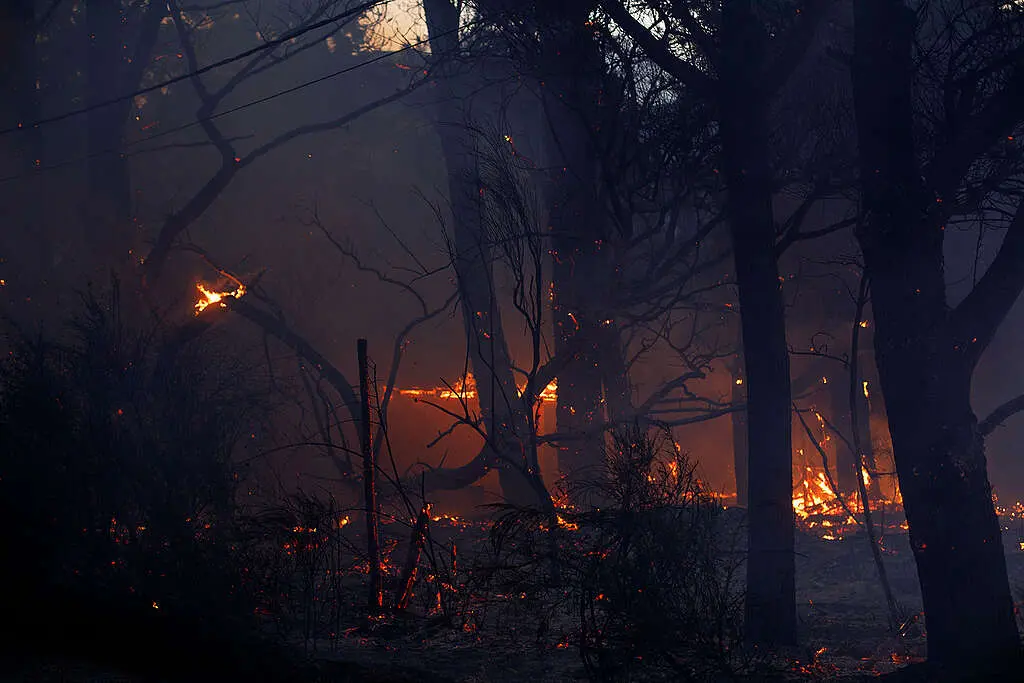 greenpeace incendios argentina.jpg