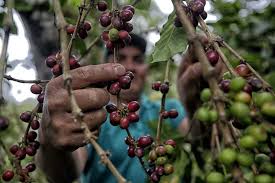 nicaragua 1