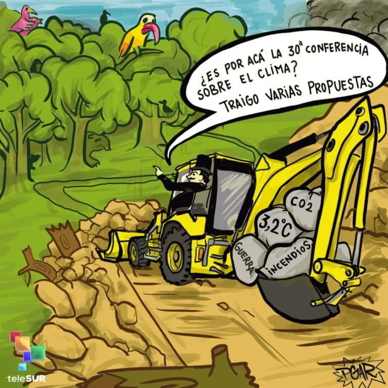 photo 4924857673853897533 y