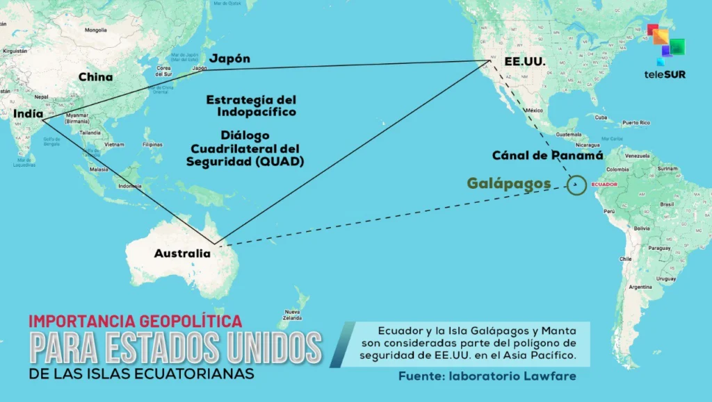 photo 4952102416643984180 y